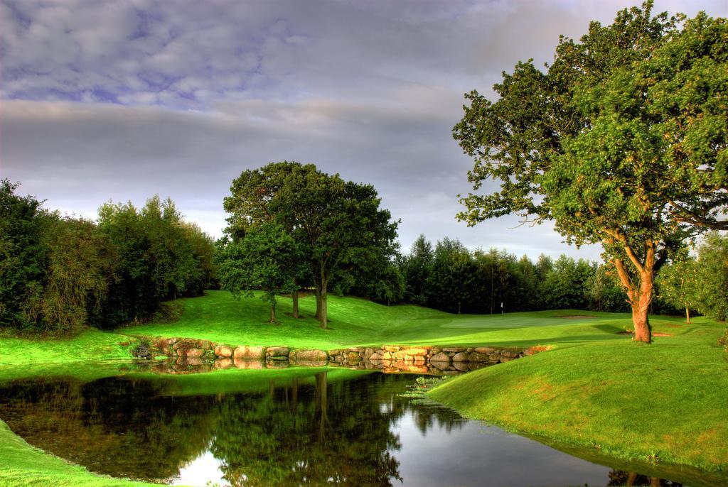 Mount Wolseley Hotel Spa & Golf Resort Tullow Eksteriør bilde